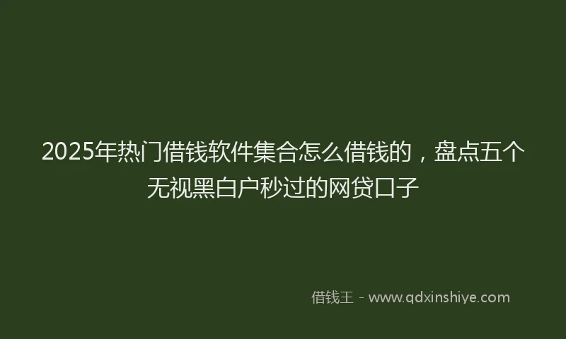 2025年热门借钱软件集合怎么借钱的，盘点五个无视黑白户秒过的网贷口子