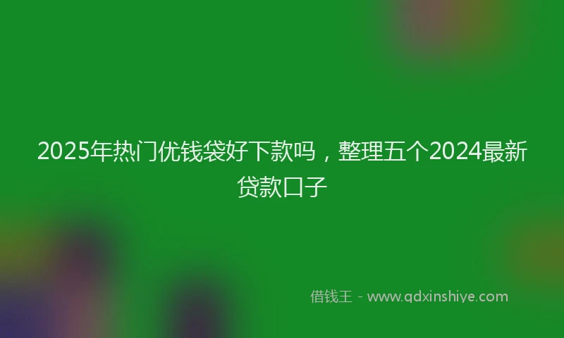 2025年热门优钱袋好下款吗，整理五个2024最新贷款口子