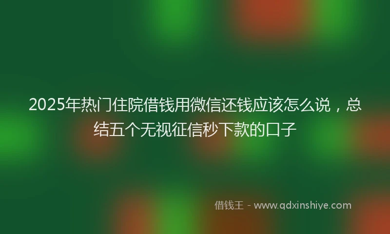2025年热门住院借钱用微信还钱应该怎么说，总结五个无视征信秒下款的口子