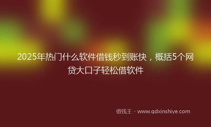 2025年热门什么软件借钱秒到账快，概括5个网贷大口子轻松借软件