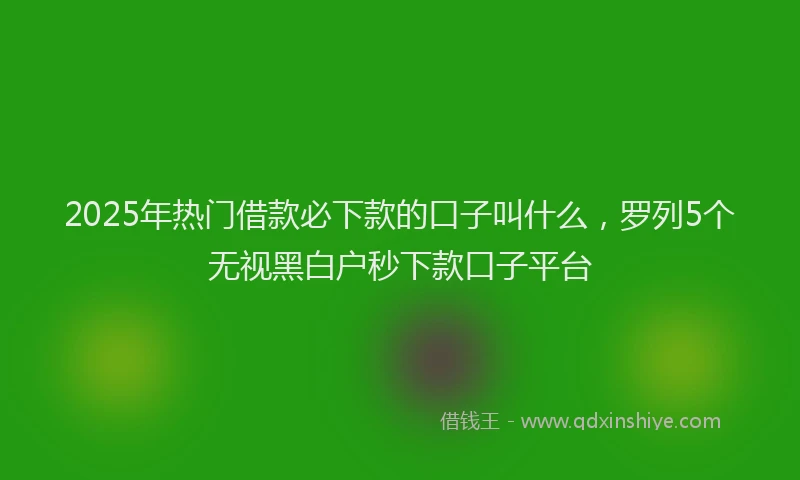 2025年热门借款必下款的口子叫什么，罗列5个无视黑白户秒下款口子平台