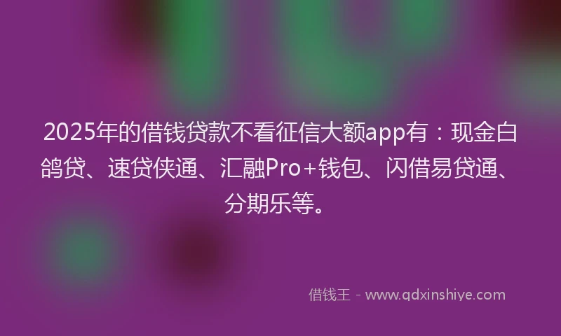 2025年的借钱贷款不看征信大额app有：现金白鸽贷、速贷侠通、汇融Pro+钱包、闪借易贷通、分期乐等。