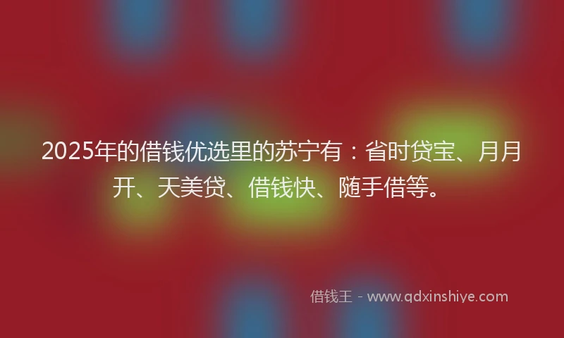 2025年的借钱优选里的苏宁有：省时贷宝、月月开、天美贷、借钱快、随手借等。