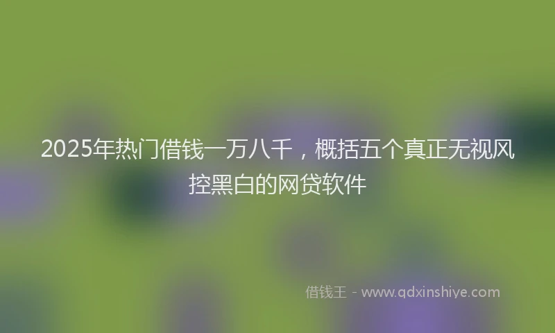 2025年热门借钱一万八千，概括五个真正无视风控黑白的网贷软件