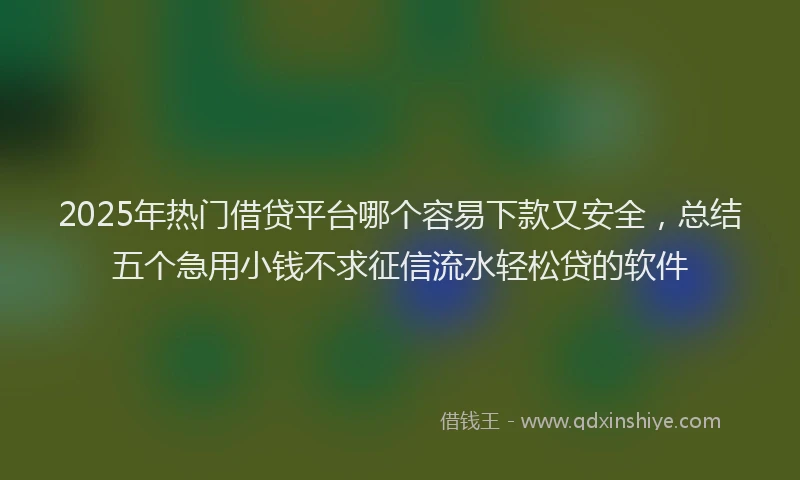 2025年热门借贷平台哪个容易下款又安全，总结五个急用小钱不求征信流水轻松贷的软件