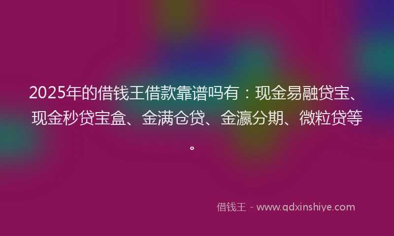 2025年的借钱王借款靠谱吗有：现金易融贷宝、现金秒贷宝盒、金满仓贷、金瀛分期、微粒贷等。