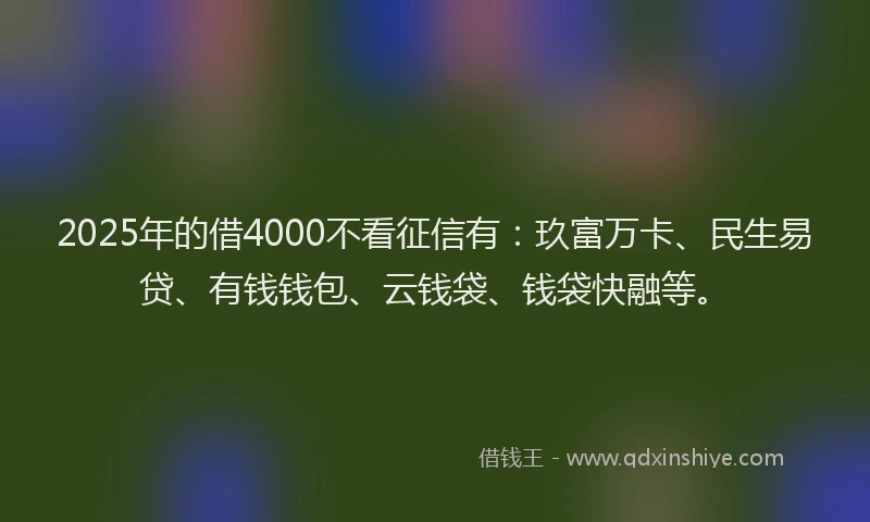 2025年的借4000不看征信有：玖富万卡、民生易贷、有钱钱包、云钱袋、钱袋快融等。