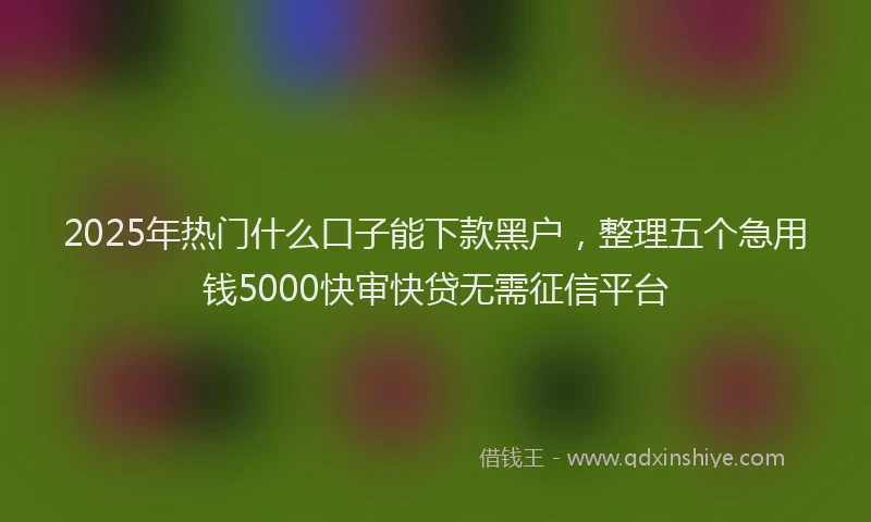 2025年热门什么口子能下款黑户，整理五个急用钱5000快审快贷无需征信平台