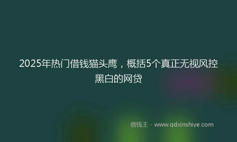 2025年热门借钱猫头鹰，概括5个真正无视风控黑白的网贷