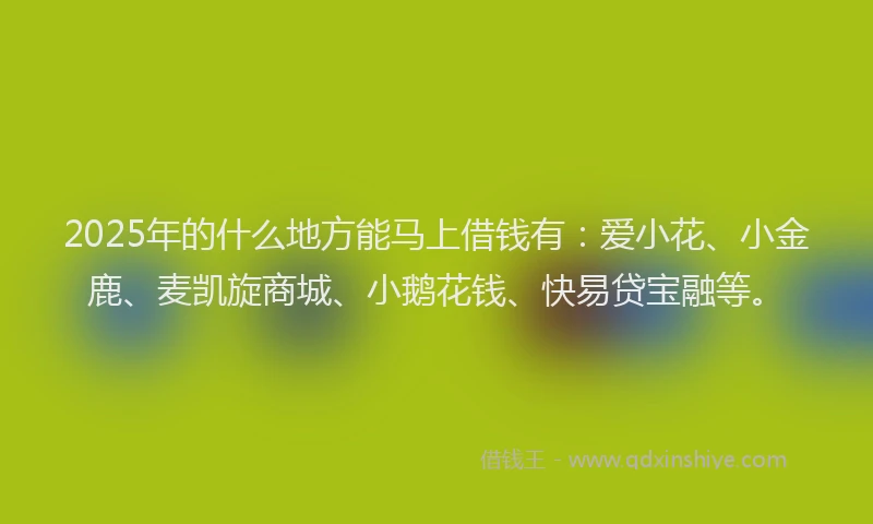 2025年的什么地方能马上借钱有：爱小花、小金鹿、麦凯旋商城、小鹅花钱、快易贷宝融等。