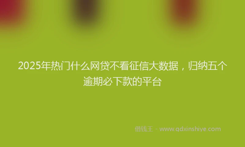 2025年热门什么网贷不看征信大数据，归纳五个逾期必下款的平台