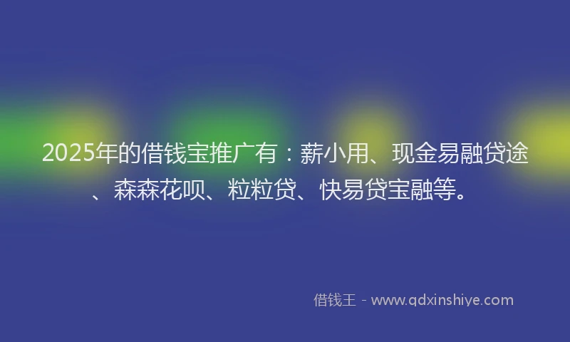 2025年的借钱宝推广有：薪小用、现金易融贷途、森森花呗、粒粒贷、快易贷宝融等。
