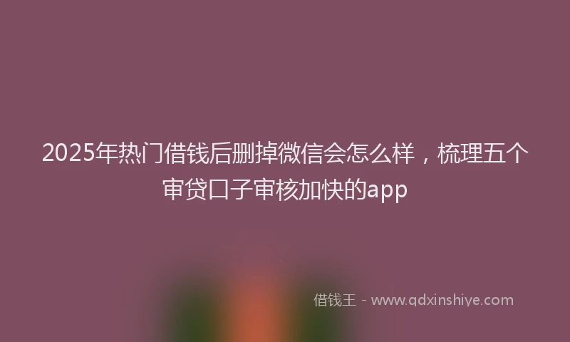 2025年热门借钱后删掉微信会怎么样，梳理五个审贷口子审核加快的app