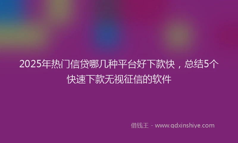 2025年热门信贷哪几种平台好下款快，总结5个快速下款无视征信的软件