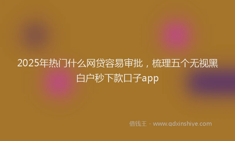 2025年热门什么网贷容易审批，梳理五个无视黑白户秒下款口子app