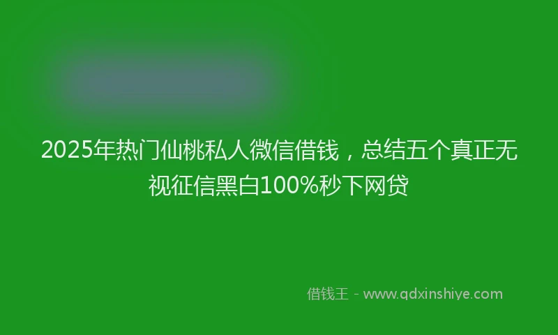2025年热门仙桃私人微信借钱，总结五个真正无视征信黑白100%秒下网贷