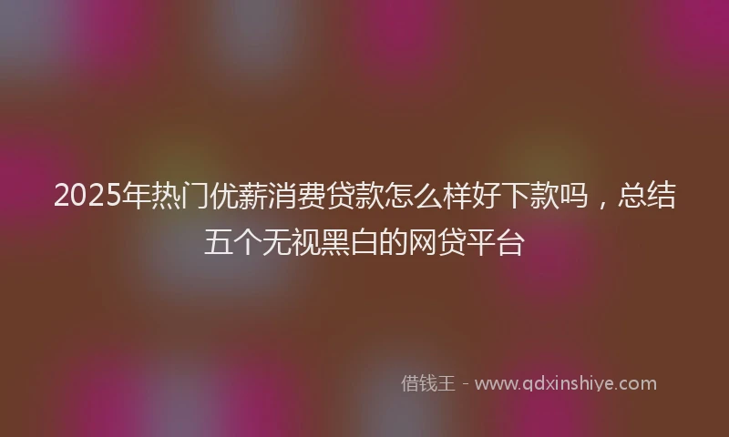 2025年热门优薪消费贷款怎么样好下款吗，总结五个无视黑白的网贷平台