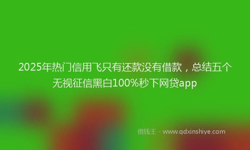 2025年热门信用飞只有还款没有借款，总结五个无视征信黑白100%秒下网贷app