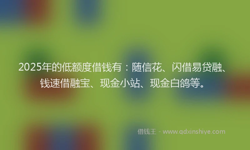 2025年的低额度借钱有：随信花、闪借易贷融、钱速借融宝、现金小站、现金白鸽等。