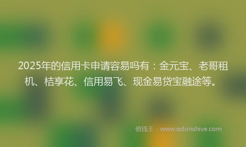 2025年的信用卡申请容易吗有：金元宝、老哥租机、桔享花、信用易飞、现金易贷宝融途等。