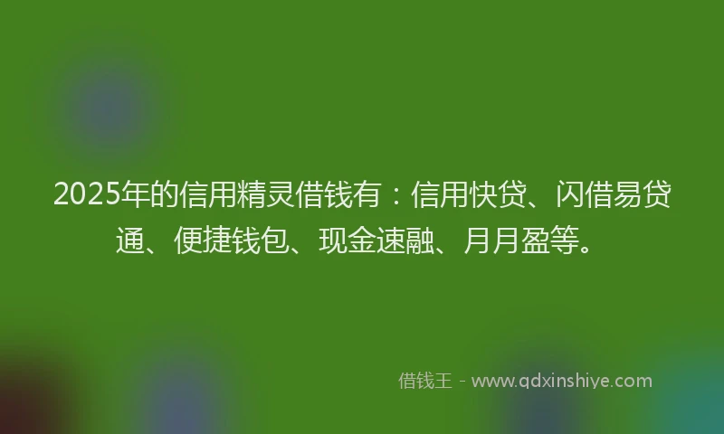 2025年的信用精灵借钱有：信用快贷、闪借易贷通、便捷钱包、现金速融、月月盈等。