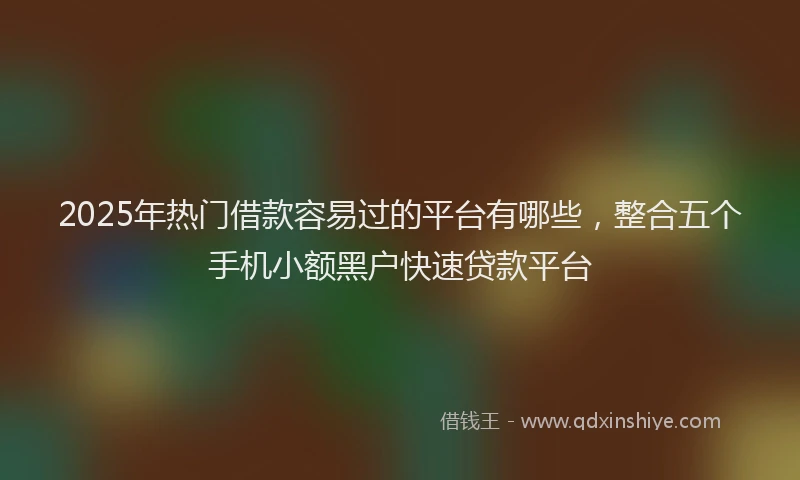2025年热门借款容易过的平台有哪些，整合五个手机小额黑户快速贷款平台