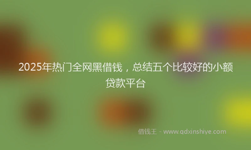 2025年热门全网黑借钱，总结五个比较好的小额贷款平台