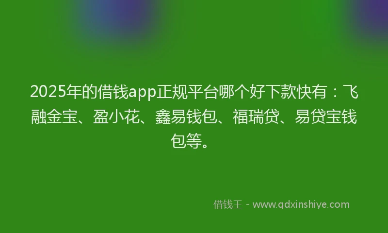 2025年的借钱app正规平台哪个好下款快有：飞融金宝、盈小花、鑫易钱包、福瑞贷、易贷宝钱包等。