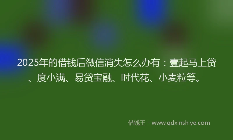 2025年的借钱后微信消失怎么办有：壹起马上贷、度小满、易贷宝融、时代花、小麦粒等。