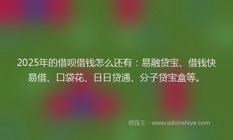 2025年的借呗借钱怎么还有：易融贷宝、借钱快易借、口袋花、日日贷通、分子贷宝盒等。