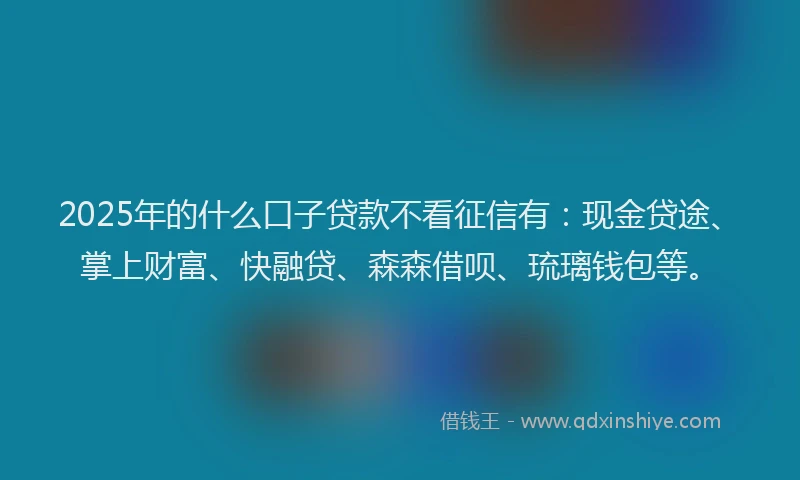 2025年的什么口子贷款不看征信有：现金贷途、掌上财富、快融贷、森森借呗、琉璃钱包等。