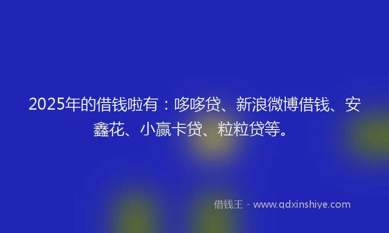 2025年的借钱啦有：哆哆贷、新浪微博借钱、安鑫花、小赢卡贷、粒粒贷等。