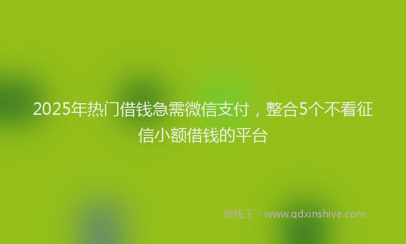 2025年热门借钱急需微信支付，整合5个不看征信小额借钱的平台