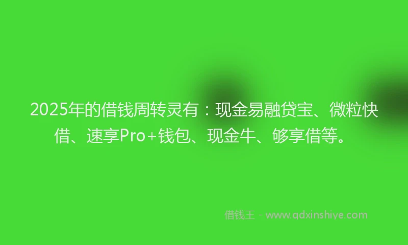 2025年的借钱周转灵有：现金易融贷宝、微粒快借、速享Pro+钱包、现金牛、够享借等。