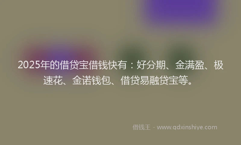 2025年的借贷宝借钱快有：好分期、金满盈、极速花、金诺钱包、借贷易融贷宝等。