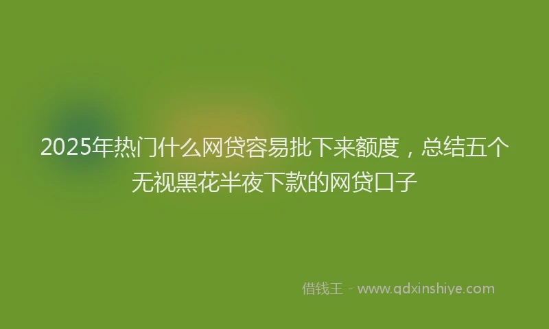 2025年热门什么网贷容易批下来额度，总结五个无视黑花半夜下款的网贷口子