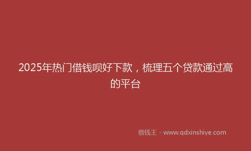 2025年热门借钱呗好下款，梳理五个贷款通过高的平台