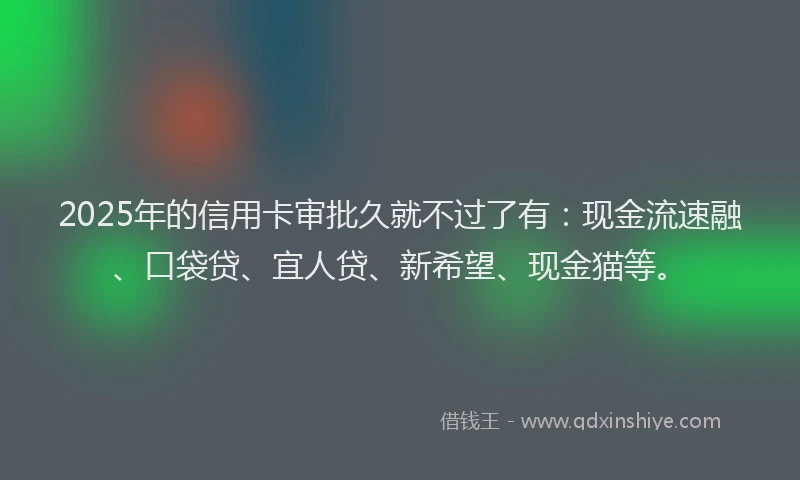 2025年的信用卡审批久就不过了有：现金流速融、口袋贷、宜人贷、新希望、现金猫等。