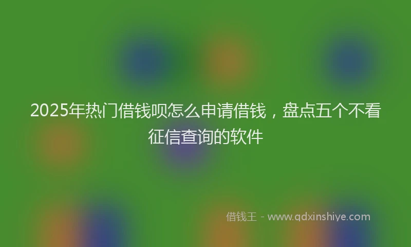 2025年热门借钱呗怎么申请借钱，盘点五个不看征信查询的软件