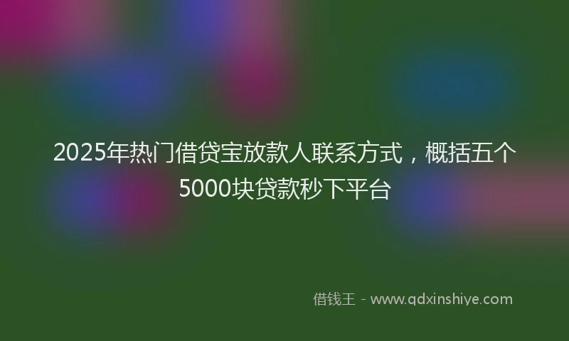2025年热门借贷宝放款人联系方式，概括五个5000块贷款秒下平台