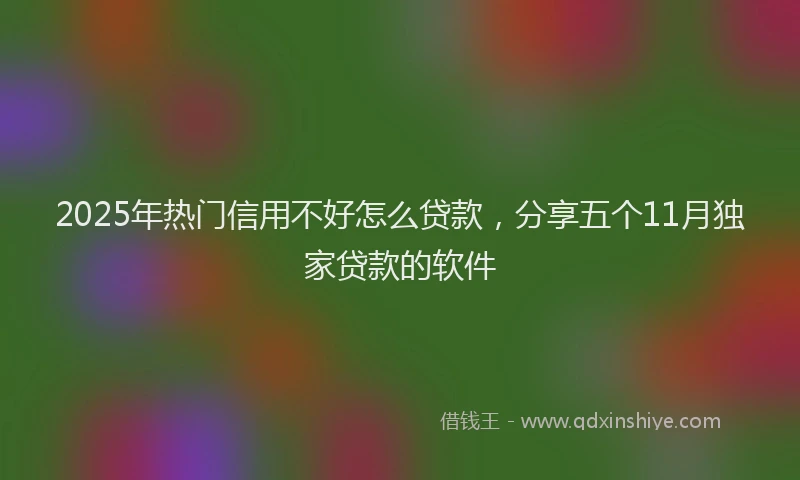 2025年热门信用不好怎么贷款，分享五个11月独家贷款的软件