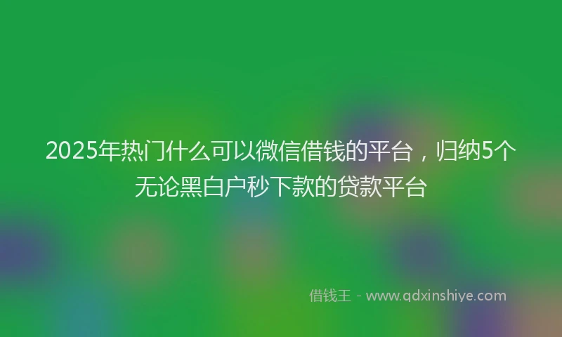 2025年热门什么可以微信借钱的平台，归纳5个无论黑白户秒下款的贷款平台