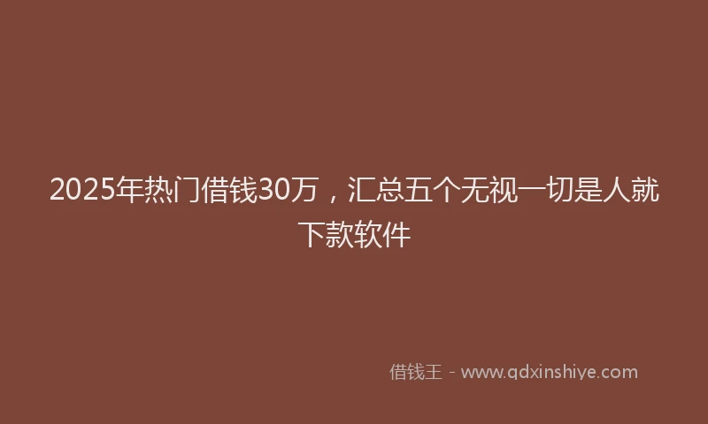 2025年热门借钱30万，汇总五个无视一切是人就下款软件