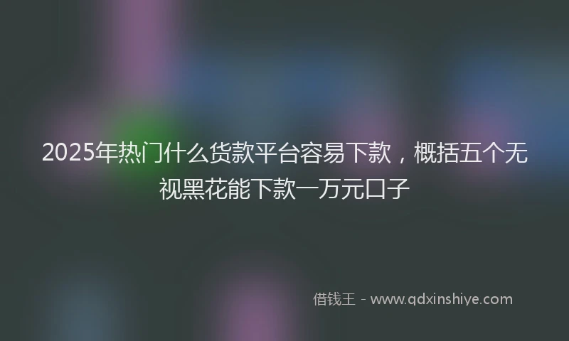 2025年热门什么货款平台容易下款，概括五个无视黑花能下款一万元口子