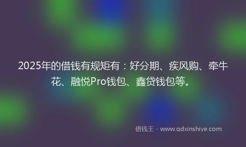 2025年的借钱有规矩有：好分期、疾风购、牵牛花、融悦Pro钱包、鑫贷钱包等。