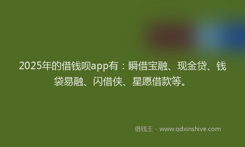 2025年的借钱呗app有：瞬借宝融、现金贷、钱袋易融、闪借侠、星愿借款等。
