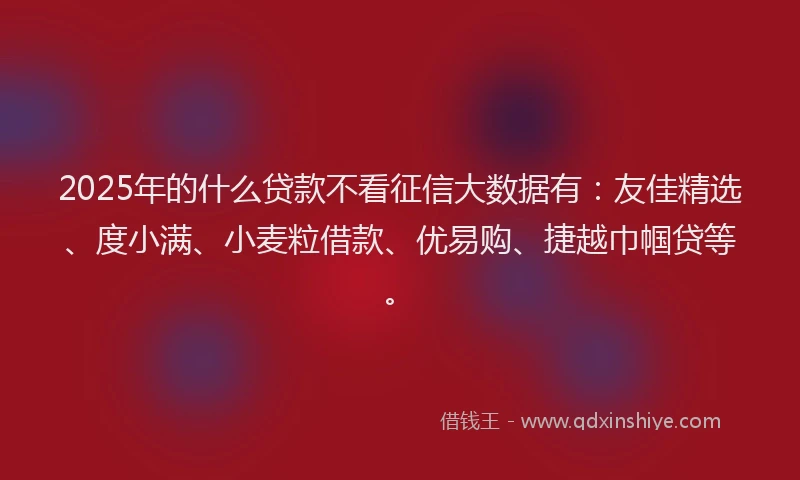 2025年的什么贷款不看征信大数据有：友佳精选、度小满、小麦粒借款、优易购、捷越巾帼贷等。