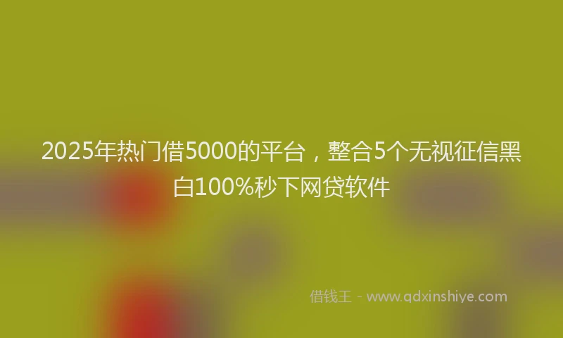 2025年热门借5000的平台，整合5个无视征信黑白100%秒下网贷软件