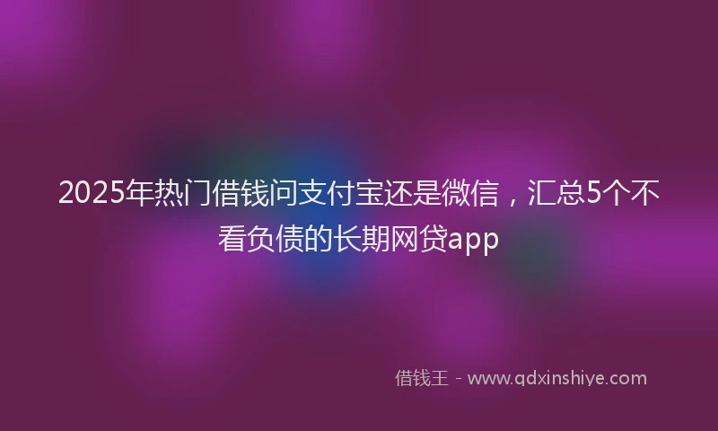 2025年热门借钱问支付宝还是微信，汇总5个不看负债的长期网贷app