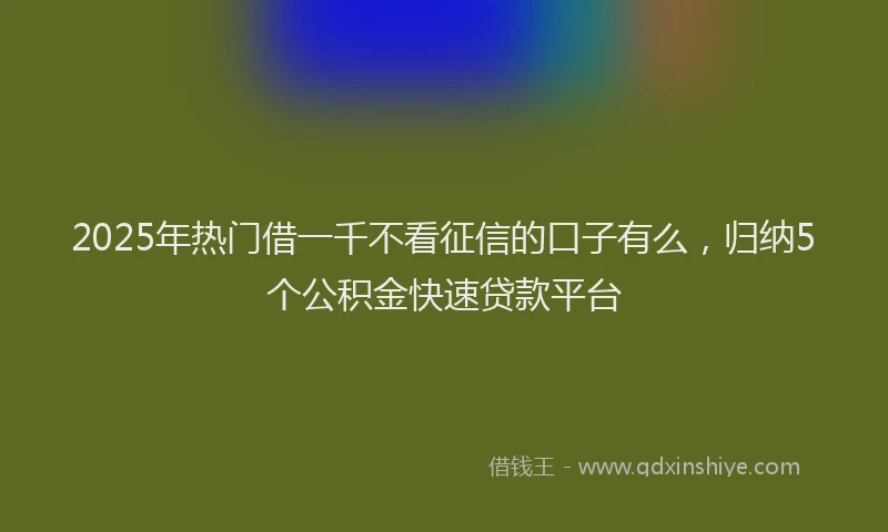 2025年热门借一千不看征信的口子有么，归纳5个公积金快速贷款平台